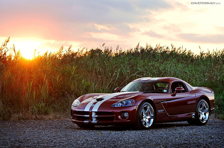 Auto, Dodge Viper, Dodge, Sonnenlicht, rote Autos, HD-Hintergrundbild