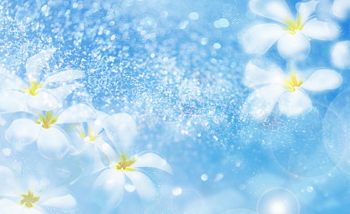 Plumeria Blue, papel de parede de flores com pétalas brancas, Natureza, Flores, Azul, Plumeria, HD papel de parede HD wallpaper