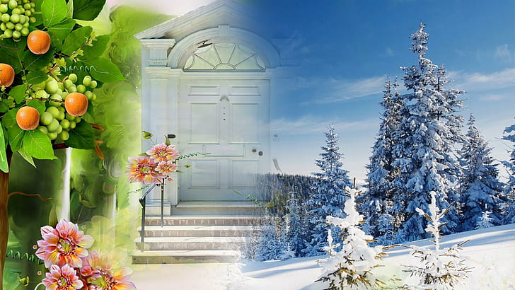 Door To Winter Beauty, pomarańcza, jesień, kwiaty, drzewa, śnieg, drzwi, śnieg, stopnie, drzewo, fleurs, las, drzwi, schody, Tapety HD