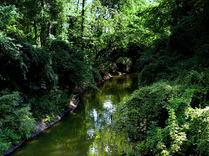 orman serin nehir doğa nehirler HD sanat bırakır, yapraklar, nehir, orman, yaz, akış, orman, HD masaüstü duvar kağıdı