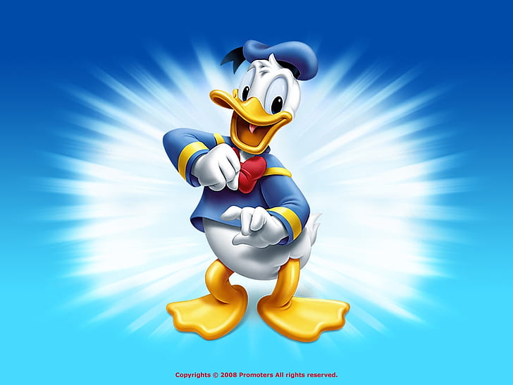 Donald Duck 1024x768 Djur Ankor HD-konst, Donald Duck, HD tapet