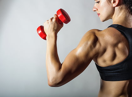 muscoli, posa, schiena, fitness, Sfondo HD HD wallpaper