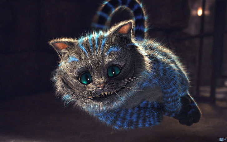 Cheshire Cat, creepy, Cheshire Cat, Alice in Wonderland, HD wallpaper |  Wallpaperbetter