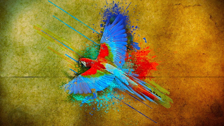 ptaki, kolorowe, latające, papuga, Tapety HD