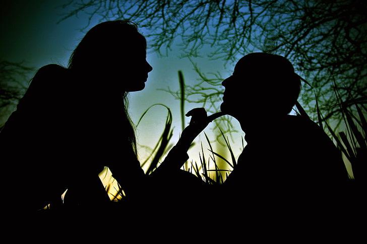 man and woman silhouette wallpaper, GIRL, FOREST, GRASS, The SKY, GUY, SHADOWS, SILHOUETTES, HD wallpaper