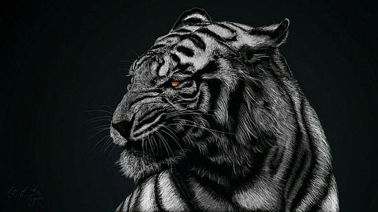 тигр, живая природа, чёрно-белое, млекопитающее, монохромная фотография, голова, усы, большая кошка, фотография, морда, монохромный, земное животное, HD обои HD wallpaper