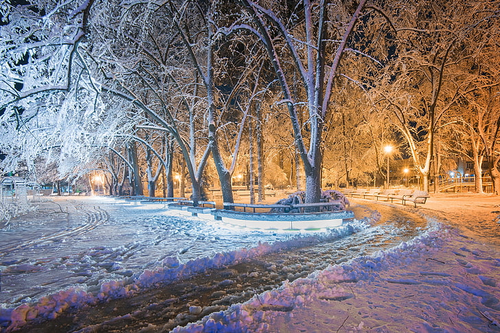 night, snow, park, lights, winter, HD wallpaper