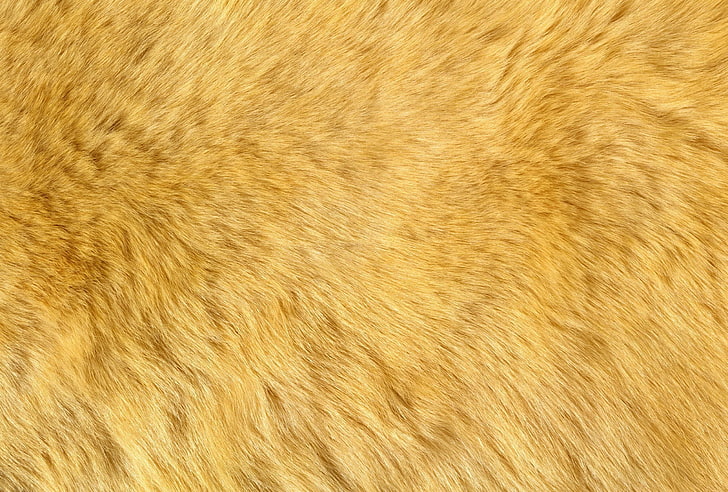 yellow fur, texture, fluff, fur, animal texture, background desktop, HD wallpaper