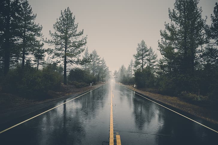 дорога, деревья, машины, облака, дождь, разделительная линия, HD обои