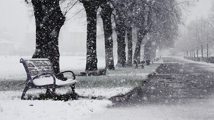 brown and black bench, winter, snow, bench, trees, path, HD wallpaper