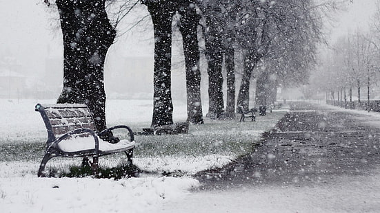 коричнево-черная скамейка, зима, снег, скамейка, деревья, дорожка, HD обои HD wallpaper