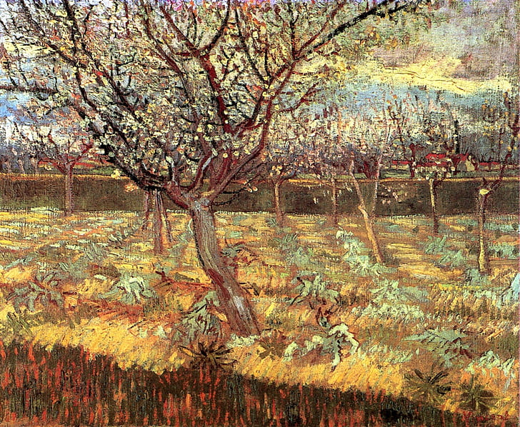 Винсент Ван Гог, Абрикосовые деревья, в цвету 2, HD обои