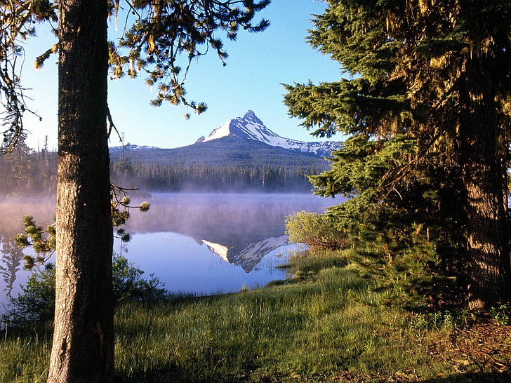 заснежена планина, дърво, дърво, езеро, изпарение, мъгла, багажник, планина, отражение, HD тапет