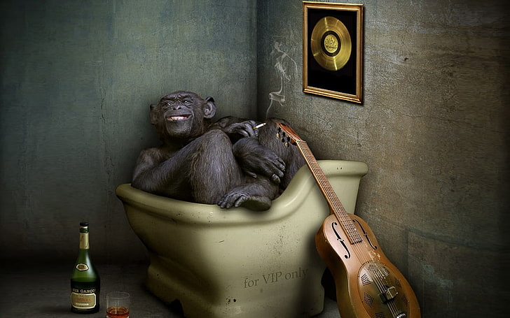 Pavel Kaplun, singe fumant dans la baignoire peinture, drôle, singe, Fond d'écran HD