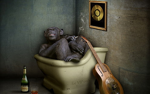 Pavel Kaplun, macaco fumando na banheira, engraçado, macaco, HD papel de parede HD wallpaper