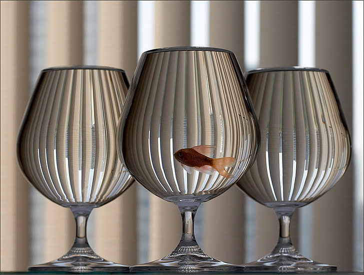 taças de vidro transparente, óculos, aquário, peixe, vidro, HD papel de parede