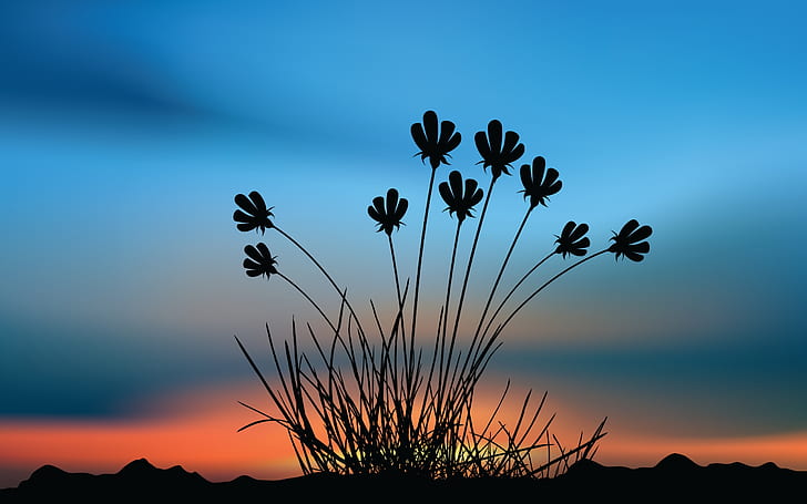 Flower Shape, sunset, background, drawings, blue, sky, plants, HD wallpaper