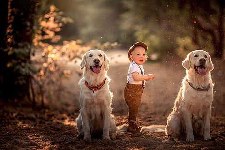 psy, nastrój, chłopiec, dziecko, dwa psy, Tapety HD HD wallpaper