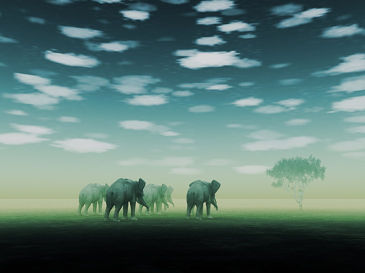 слоны, туман, мираж, пустыня, арт, HD обои