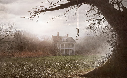 The Conjuring tapet, dimma, hus, träd, skymning, The Conjuring, The spell, HD tapet HD wallpaper