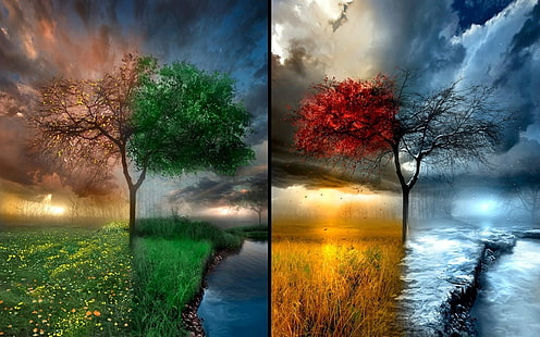 seasons, trees, winter, snow, Sun, sky, grass, water, rain, summer, leaves, HD wallpaper HD wallpaper