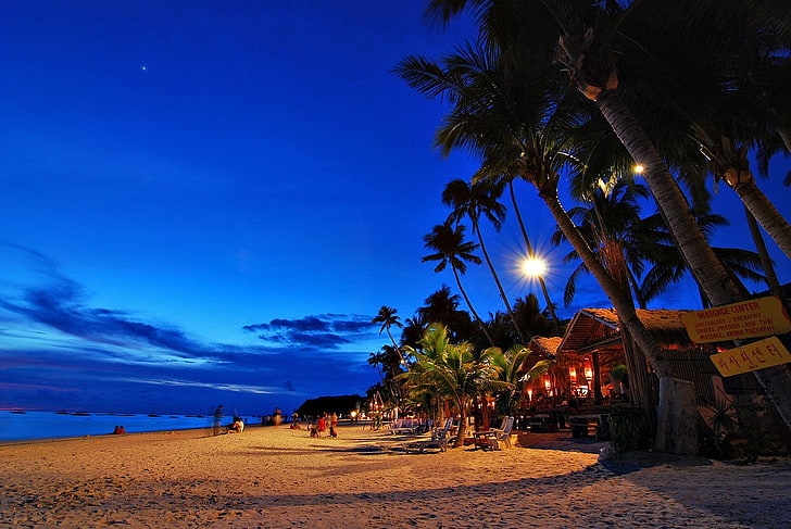 морски бряг и кокосови дървета, плаж, здрач, Филипини, палми, нощ, HD тапет