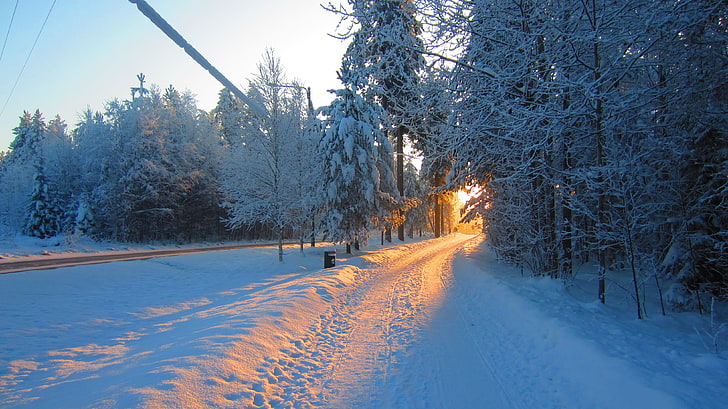 snow covered tree, landscape, snow, road, Sun, sunlight, winter, HD wallpaper