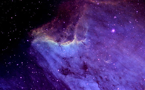 Pelican Nebula 4K, lila och svart galaxy tapet, 3D, Space, nebula, HD tapet HD wallpaper