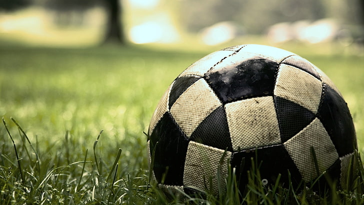 rumput, sepak bola, bola, merapatkan, lapangan, halaman rumput, sepak bola, olahraga, Wallpaper HD