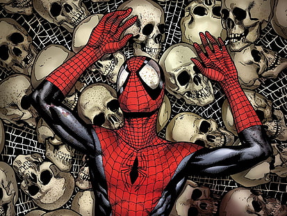 komiksy, mężczyzna, czaszki, pająk, spiderman, superbohater, Tapety HD HD wallpaper