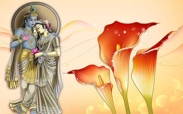 Lord Radha Krishna And Flowers-, Krishna- und Radha- und rote Callalilienvektorkunst, Gott, Lord Krishna, Blume, Radha, Hintergrund, HD-Hintergrundbild