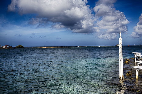 Korallenriff, HD-Hintergrundbild HD wallpaper