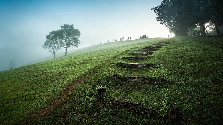 nature, landscape, grass, sky, mist, stairs, people, national park, Thailand, HD wallpaper