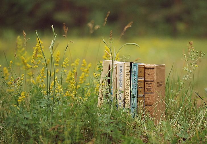 siete libros de títulos variados, libros, hierba, pila, estado de ánimo, Fondo de pantalla HD