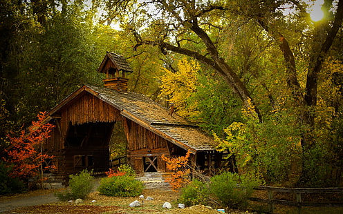 кафява дървена къща, кафява каюта, заобиколена от дървета, природа, фотография, пейзаж, плевня, хижа, гора, ограда, падане, храсти, дървета, HD тапет HD wallpaper