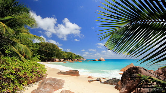 Praslin Island, Seychelles, Islands, HD wallpaper HD wallpaper