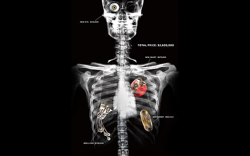 mänskligt skelett digital tapet, skelett, röntgen, rippare, ompoman, HD tapet HD wallpaper