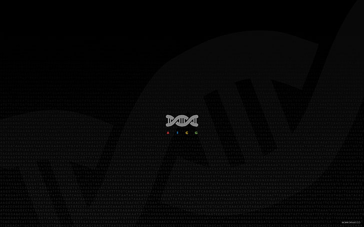 minimalis, DNA, Wallpaper HD
