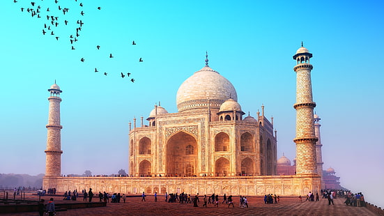 tourism, agra, asia, palace, unesco world heritage site, ancient history, arch, monument, india, historic site, mausoleum, sky, mosque, taj mahal, wonders of the world, dome, tourist attraction, landmark, HD wallpaper HD wallpaper