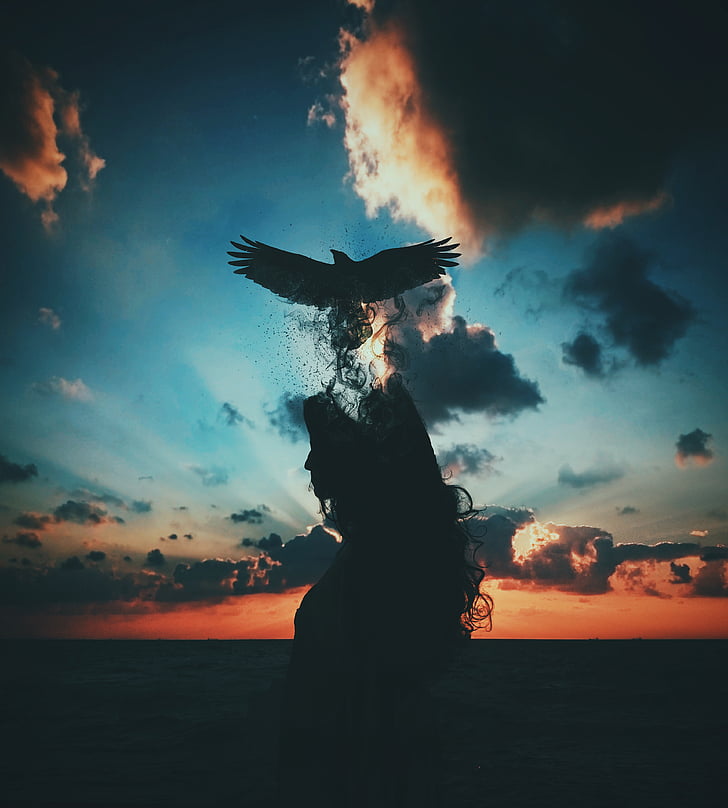 fotografia di corvo con sfondo tramonto, Libertà, Liberati, Solo, Uccello, CGI, 4K, Sfondo HD, sfondo telefono