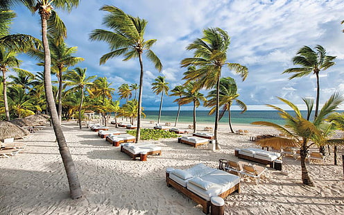 Catalonia Bavaro Beach With Palm Punta Cana Dominican Republic Desktop Wallpaper Download Free, HD wallpaper HD wallpaper