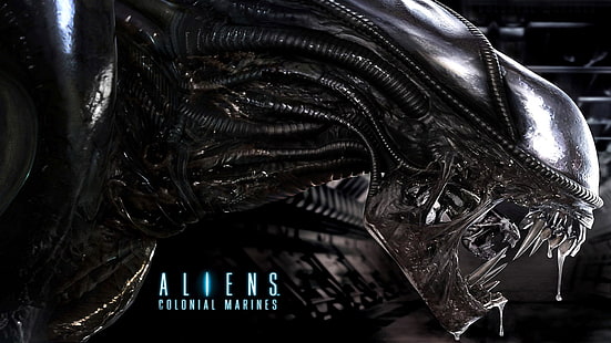 Aliens: Colonial Marines Xenomorph Alien HD, video games, alien, marines, aliens, xenomorph, colonial, HD wallpaper HD wallpaper