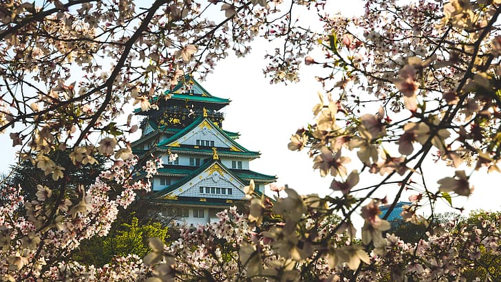 Япония, Осака, Замок Осаки, замок, HD обои