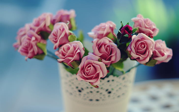 Różowe róże kwiaty, płatki, wazon, bokeh, wiadro różowych róż, różowy, róże, kwiaty, płatki, wazon, bokeh, Tapety HD