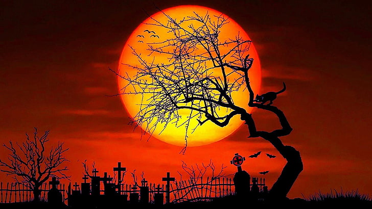 Kreuze, Grabsteine, Mond, Nacht, Katze, Baum, Himmel, Halloween, Friedhof, Friedhof, Abend, HD-Hintergrundbild