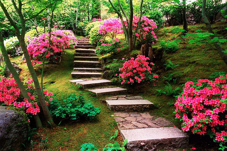 Steps In The Blooms, brown concrete stair case, trees, blooms, stairs, garden, pink, flowers, 3d and abstract, HD wallpaper