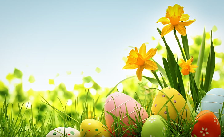 Fröhliche Ostern 2014, Ostereier, Feiertage, Ostern, bunt, Blumen, Feiertag, Narzissen, Eier, Frühjahr, HD-Hintergrundbild