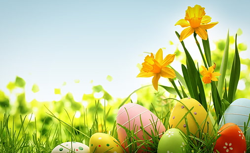 Feliz Pascua 2014, huevos de Pascua, Vacaciones, Pascua, Colorido, Flores, Vacaciones, Narcisos, Huevos, Primavera, Fondo de pantalla HD HD wallpaper