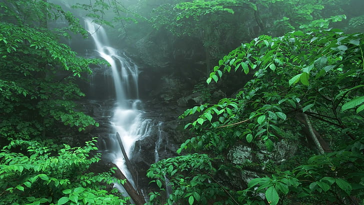 Doyles River Falls, Parque Nacional Shenoah, Virgínia, árvores, bosques, cachoeiras, Virgínia, 3d e abstrato, HD papel de parede