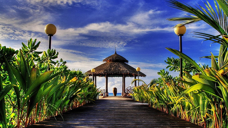 nature, sky, arecales, palm tree, palapa, tropics, plant, beach, resort, landscape, tourism, estate, HD wallpaper